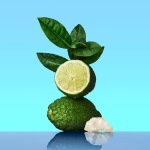 CALVIN KLEIN CK One - Unisex Eau de Toilette for All - Citrus & Aromatic Fragrance with Notes of Green Tea, Nutmeg and Musk - Medium Longevity - 200ml - Image 6