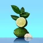 CALVIN KLEIN CK One - Unisex Eau de Toilette for All - Citrus & Aromatic Fragrance with Notes of Green Tea, Nutmeg and Musk - Medium Longevity - 200ml - Image 4