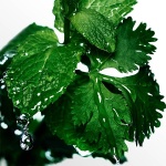 DAVIDOFF Cool Water - Eau de Toilette for Him - Aromatic Fragrance with Notes of Coriander, Mint, Lavender and Amber - Medium Longevity - 40ml - Image 4