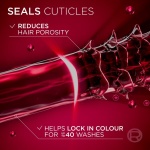 L'Oréal Paris Elvive Colour Protect Shampoo, with Pure Vitamin Cg and UV filters, for Coloured & Highlighted Hair, Suitable for all hair textures, 1000ml - Image 5