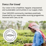 Twinings Superblends Sleep Tea - Spiced Apple & Vanilla Herbal Tea Infusion with Camomile & Passion Flower - 20 Biodegradable Tea Bags - Image 4