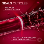 L'Oréal Paris Elvive Colour Protect Shampoo, with Pure Vitamin Cg and UV filters, for Coloured & Highlighted Hair, Suitable for all hair textures, 1000ml - Image 2