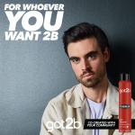 got2b Phenomenal Matt Hairspray 200 ml, Dramatic Hold, 24h Powerful Matt Looks in Seconds, Matt Style with a Powerful Fragrance, Hairspray got2b, Vegan Formula - Image 2